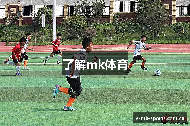 了解mk体育